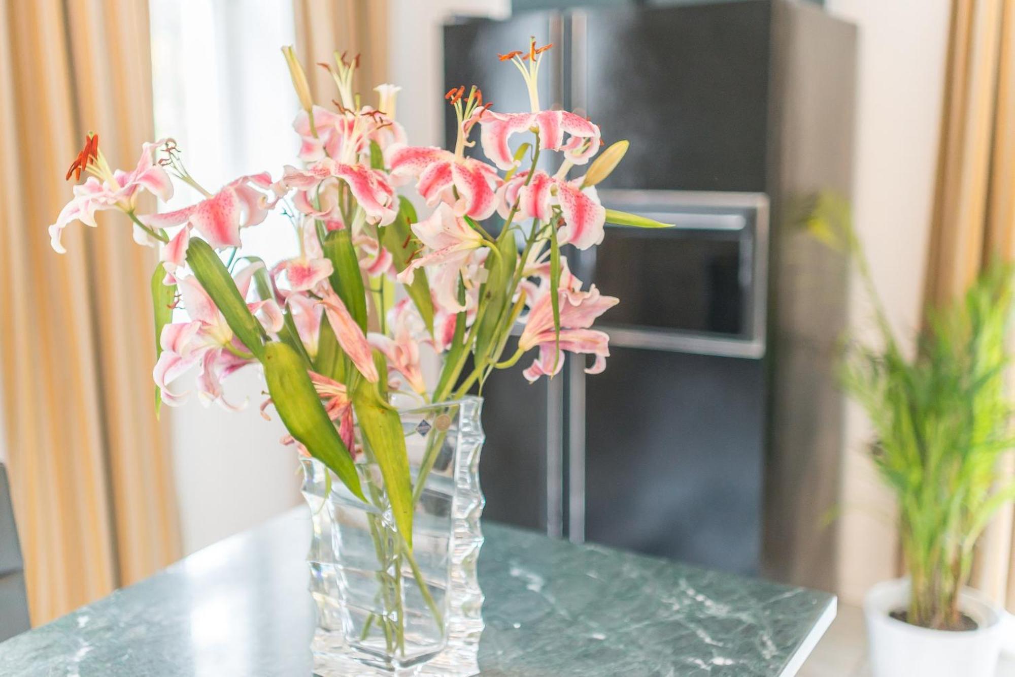 Charming Apartment With Terrace In Bad Schandau 55 Sqm Parking Exterior foto